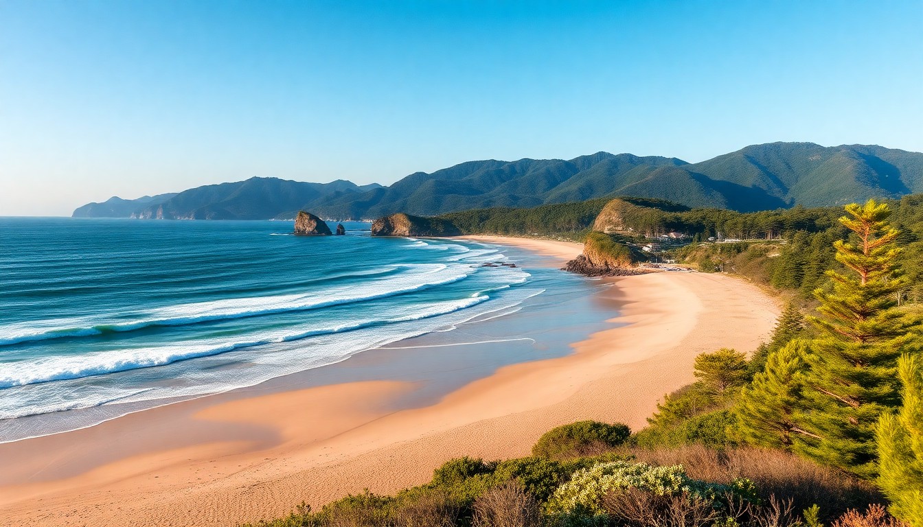 瞳水ひまりの出身は高知県！地元の魅力とは